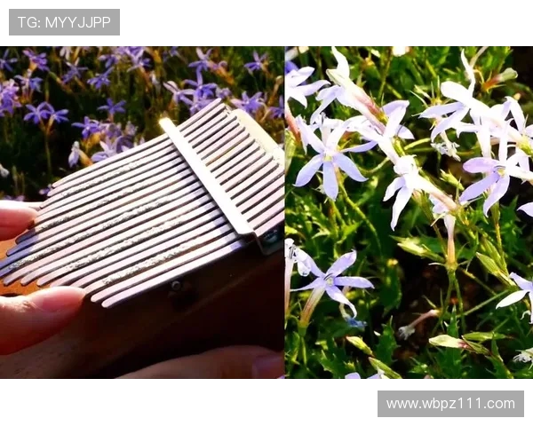 鑻忚秴鐜拌薄锛氬綋绾补瓒崇悆鐐圭噧鍏ㄦ皯鐙傛